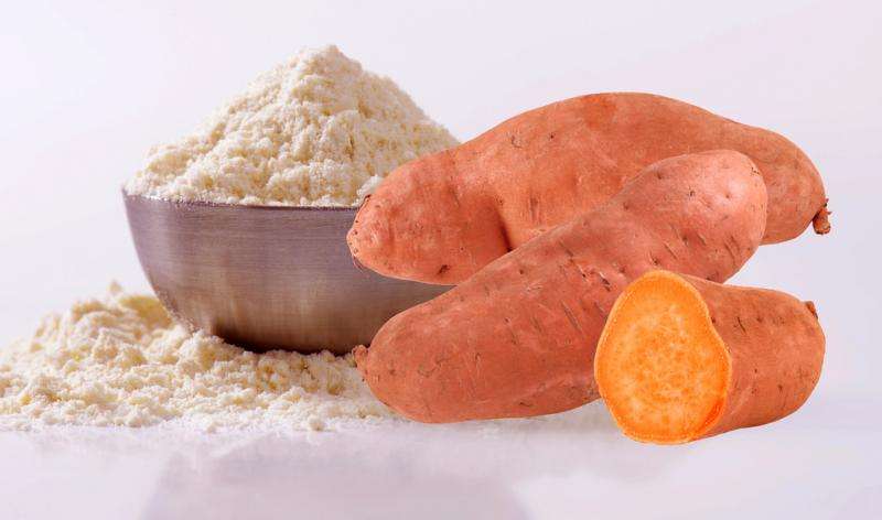 University student successfully innovates sweet potato flour and makes company to commercialize it