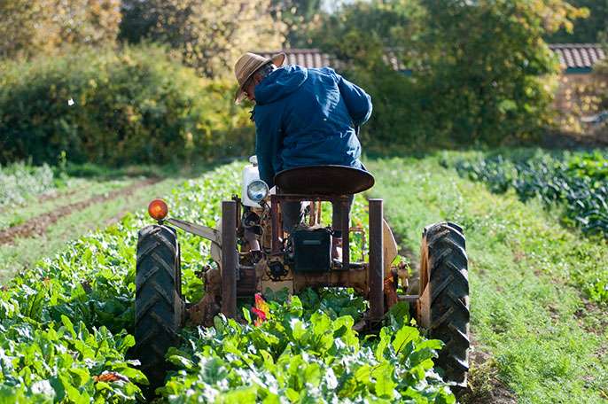 Up to 90 percent of Americans could be fed entirely by local agriculture