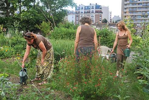 Urban agriculture does not always result in better neighbourhoods