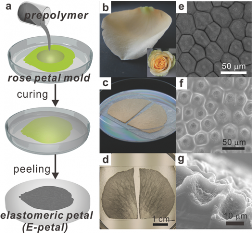 Using E-petals for making stretchable metal conductors