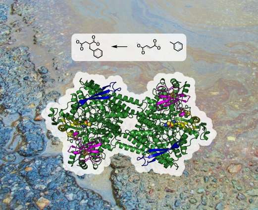Using microbes to clean up oil spills