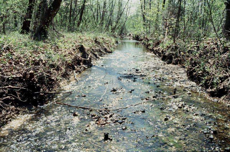 Using microbial communities to assess environmental contamination