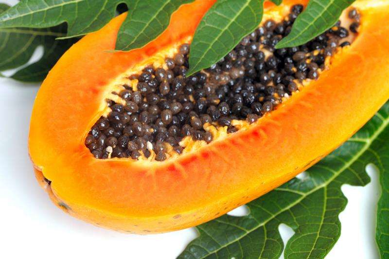 Using ozone to protect papaya exports