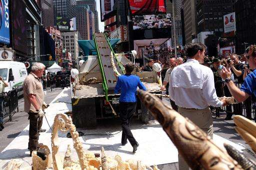 US Interior Secretary Sally Jewell puts a confiscated artwork made out of ivory on a crash-machine during a ceremony at Times Sq