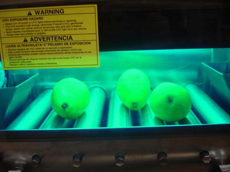 UV light can kill foodborne pathogens on certain fruits