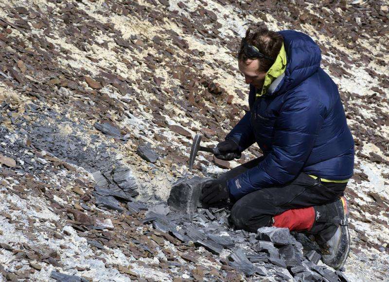 Video: Research team discovers plant fossils previously unknown to Antarctica