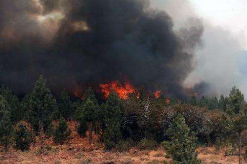 View of forests on fire in Chubut, southern Argentina, on March 1, 2015
