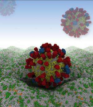 'Virtual virus' unfolds the flu on a CPU