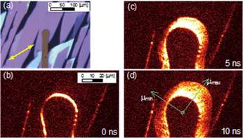 Visualizing anisotropic carrier transport in organic semiconductor materials