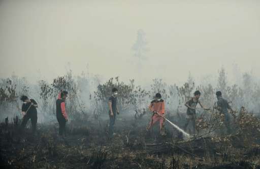 Volunteers attempt to extinguish a peatland fire on the outskirts of Palangkaraya, a city of 240,000 in Indonesia's central Kali