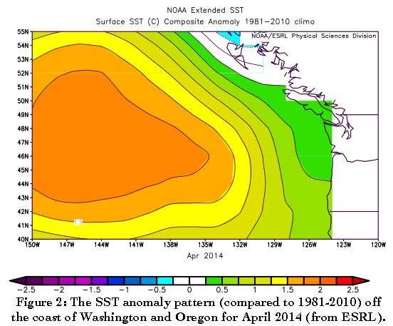 'Warm blob' in Pacific Ocean linked to weird weather across the US
