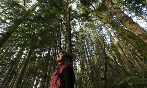 Washington project ensures forest stores carbon for decades