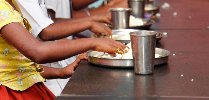Wasting of Indian children during the recession 'linked to food price spikes'