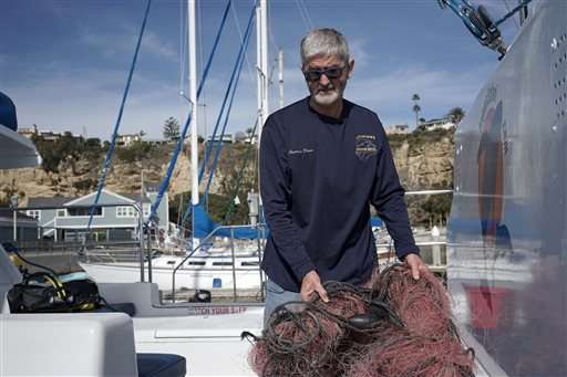 Whales entangled at alarming rate along California coast