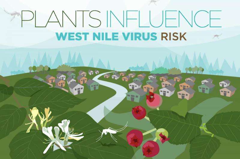 What's in your landscape? Plants can alter West Nile virus risk