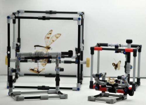 When scientists play with LEGO: A new creative version of pinned insect manipulator