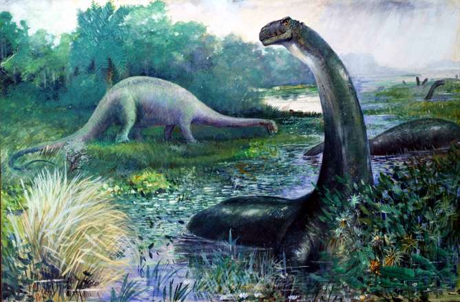 Why Brontosaurus is no longer a dirty word for dinosaur hunters