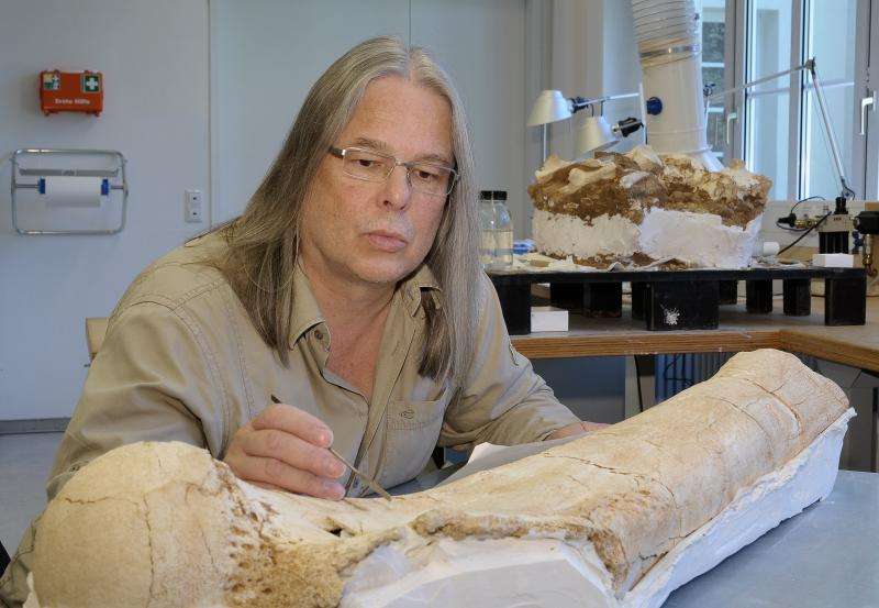 Widest distribution of mammoths during the last Ice Age