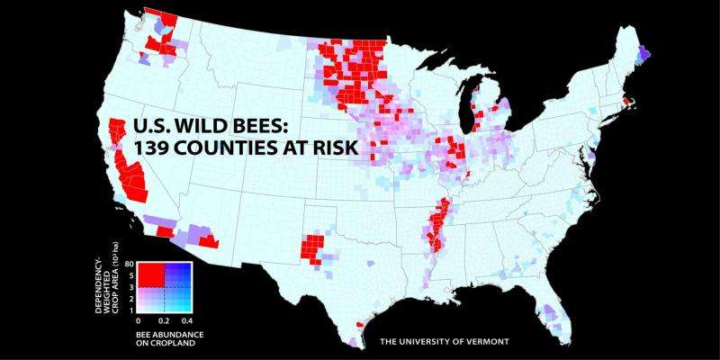 Wild bee decline threatens US crop production