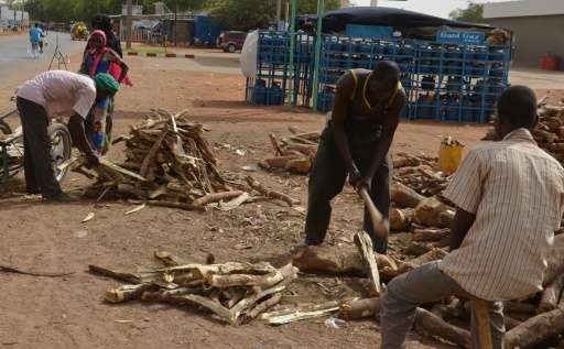 Woodcutters cut the wood they sell on the side of the road, next to a petrol station that sells gas, in downtown Niamey on July 