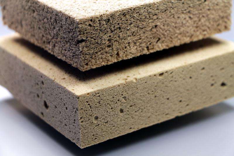 Wood-derived foam materials