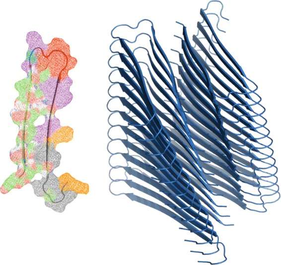 Wrangling proteins gone wild