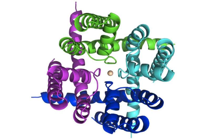 X-raying ion channels