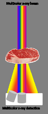 X-ray scanning to guarantee meat tenderness