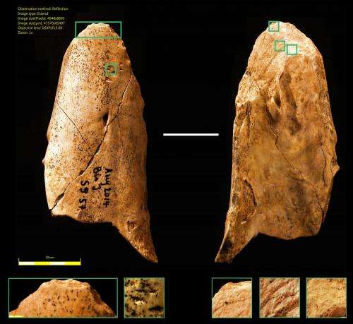 Yabba dabba d'oh! Stone Age man wasn't necessarily more advanced than the Neanderthals