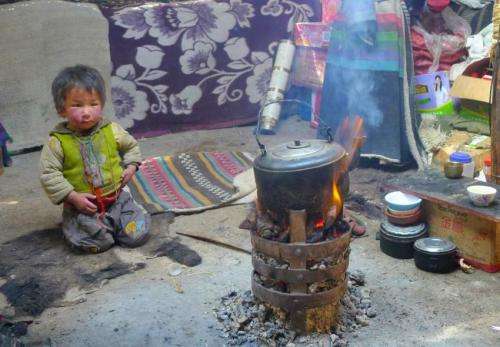 Yak dung burning pollutes indoor air of Tibetan households