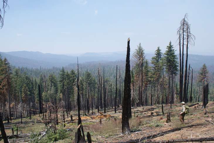 Yosemite forest fire example of possible things to come