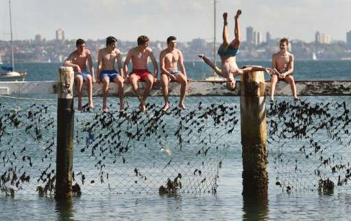 Youths play on a shark net at Little Manly Cove as shark experts assess cutting-edge technologies to counter attacks at a summit