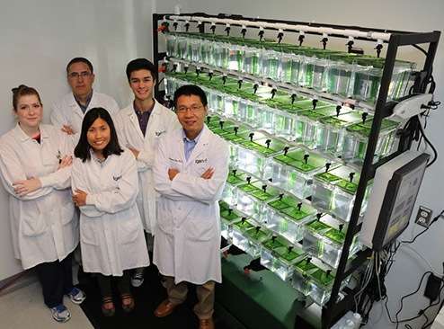 Zebrafish accelerate research against pancreatic cancer