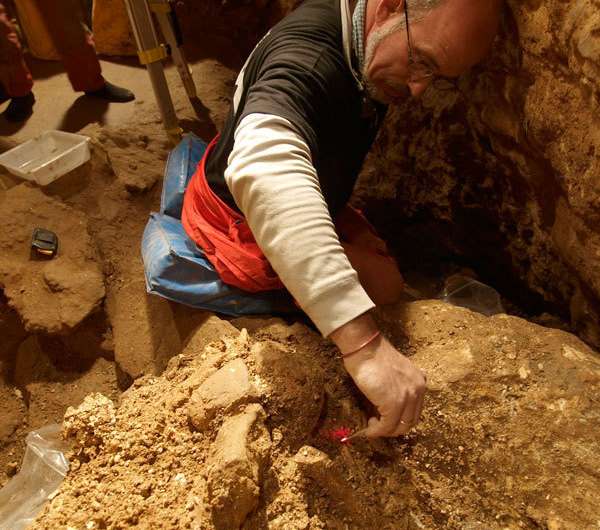 400,000-year-old fossils from Spain provide earliest genetic evidence of Neandertals