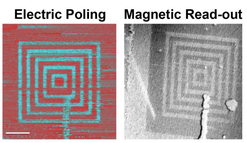 A conscious coupling of magnetic and electric materials