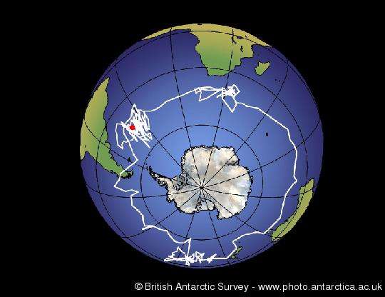 Albatrosses forage in different areas when on migration