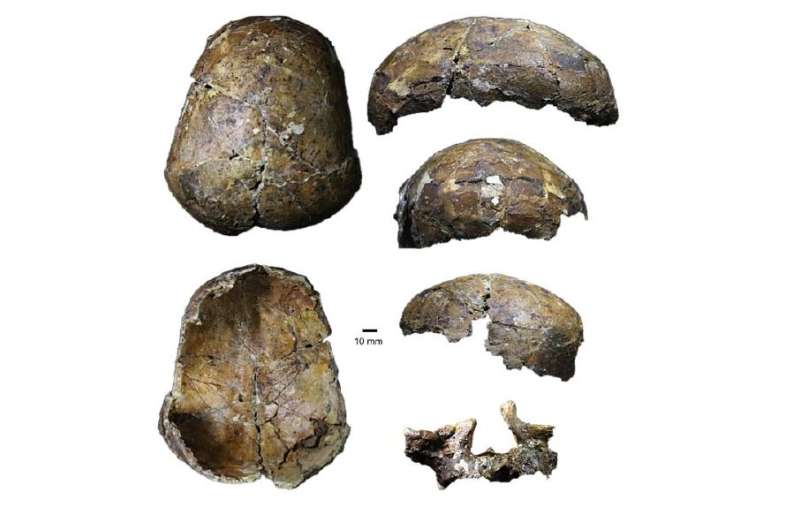 Ancient 'Deep Skull' from Borneo full of surprises