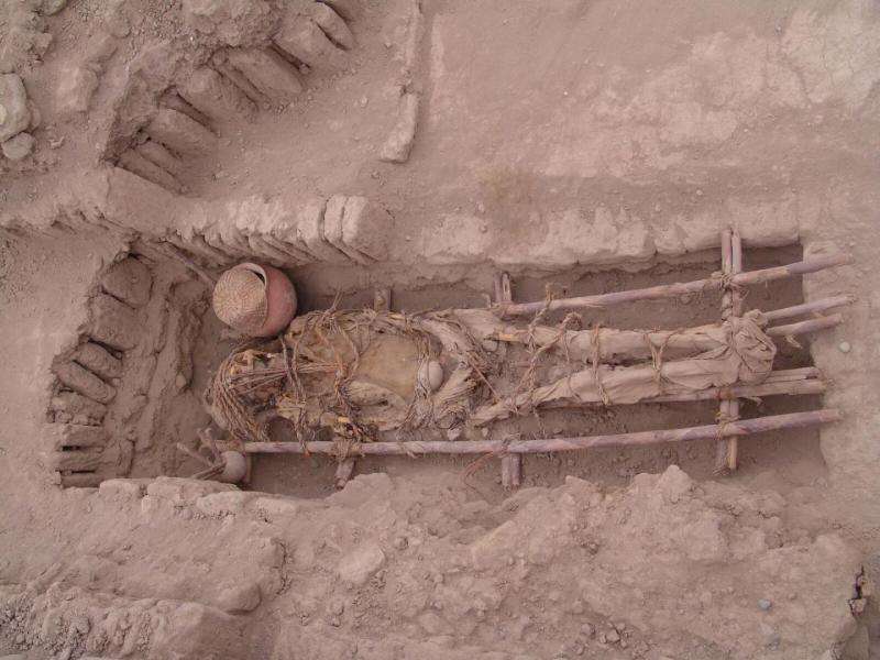 Ancient DNA shows European wipe-out of early Americans
