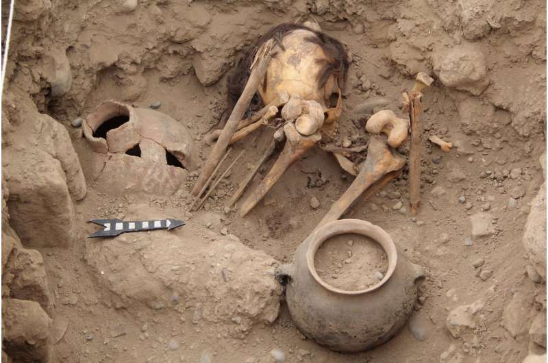 Ancient Wari Empire likely did not cause large shifts in population genetic diversity