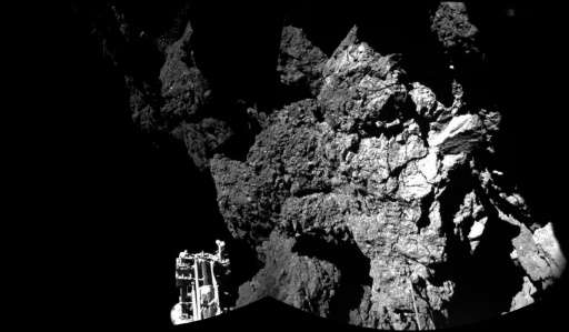A photo released by the European Space Agency (ESA) in November 2014 shows an image taken by Rosetta's lander Philae