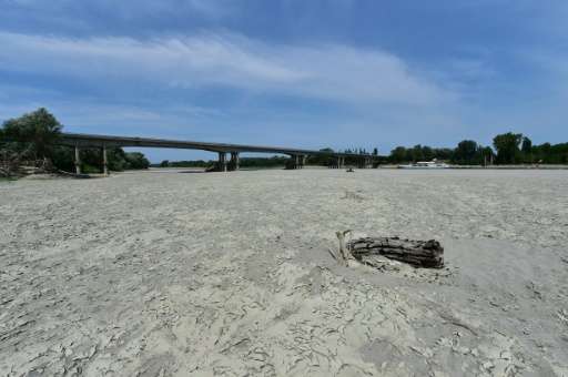 A picture taken on July 26, 2015, near Boretto, shows the dry river bed of the Po during a drought in Italy