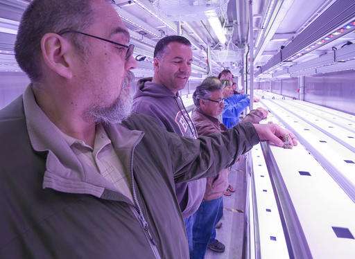 Arctic farming: Town turns to hydroponics for fresh greens