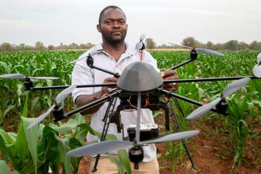 A technician holds a drone used to scout a plot of a heat-tolerant hybrid maize growing at the Chiredzi Research Station, on Oct
