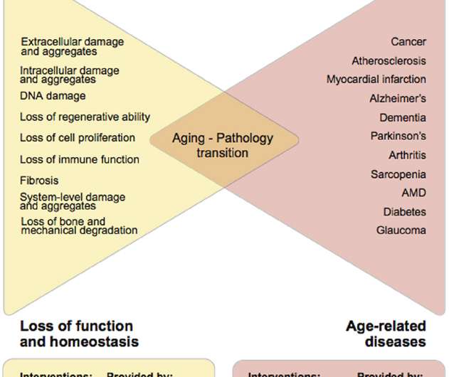 Biogerontology Research Foundation calls for a task force to classify aging as a disease