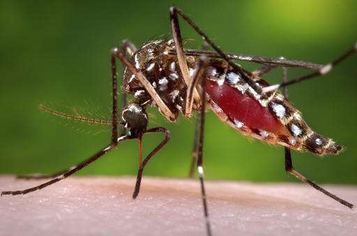 Birth defects seen in 6 percent of US pregnancies with Zika