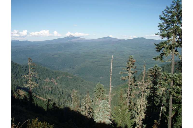 Carbon stored in Pacific Northwest forests reflects timber harvest history