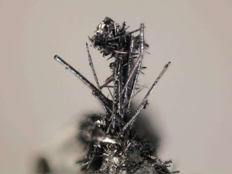 Close up of the new mineral merelaniite
