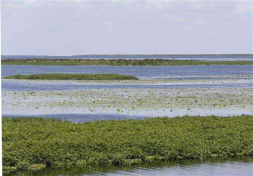 Curing Florida's algae crisis will take time, money, science