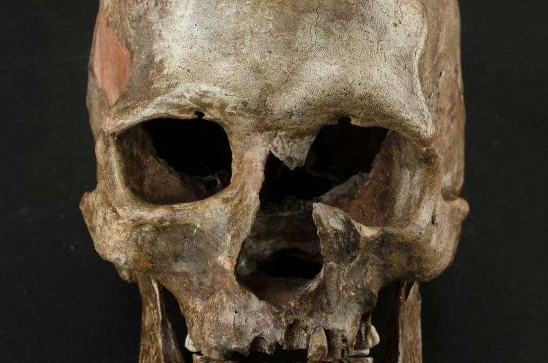DNA evidence uncovers major upheaval in Europe near end of last Ice Age