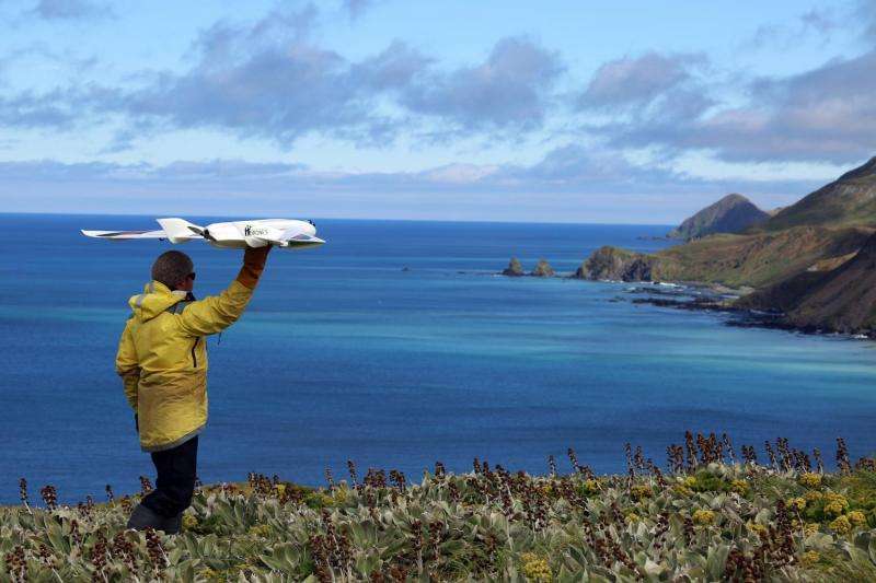 Drones revolutionize ecological monitoring